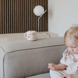 Αποθηκευτικό Κουπάκι Σιλικόνης με Χερούλια Dinosaurs - Mushie - Image 7