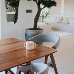 Αποθηκευτικό Κουπάκι Σιλικόνης με Χερούλια Dinosaurs - Mushie - Image 9