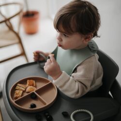 Πιάτο Σιλικόνης με Χωρίσματα & Αντιολισθητική Βάση Mauve - Mushie - Image 7
