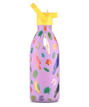 Cool Bottles Ανοξείδωτο παιδικό μπουκάλι Fly Free 500ml