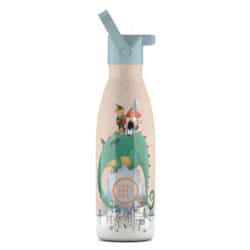 Cool Bottles Ανοξείδωτο παιδικό μπουκάλι Δράκος 350ml