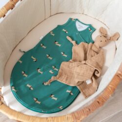 Bemini Magic Bag 0.5 Tog Wouff Green1-4 Μηνών - Image 3