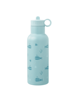 Fresk Θερμός από ανοξείδωτο ατσάλι 500ml με διπλό πώμα - Submarine