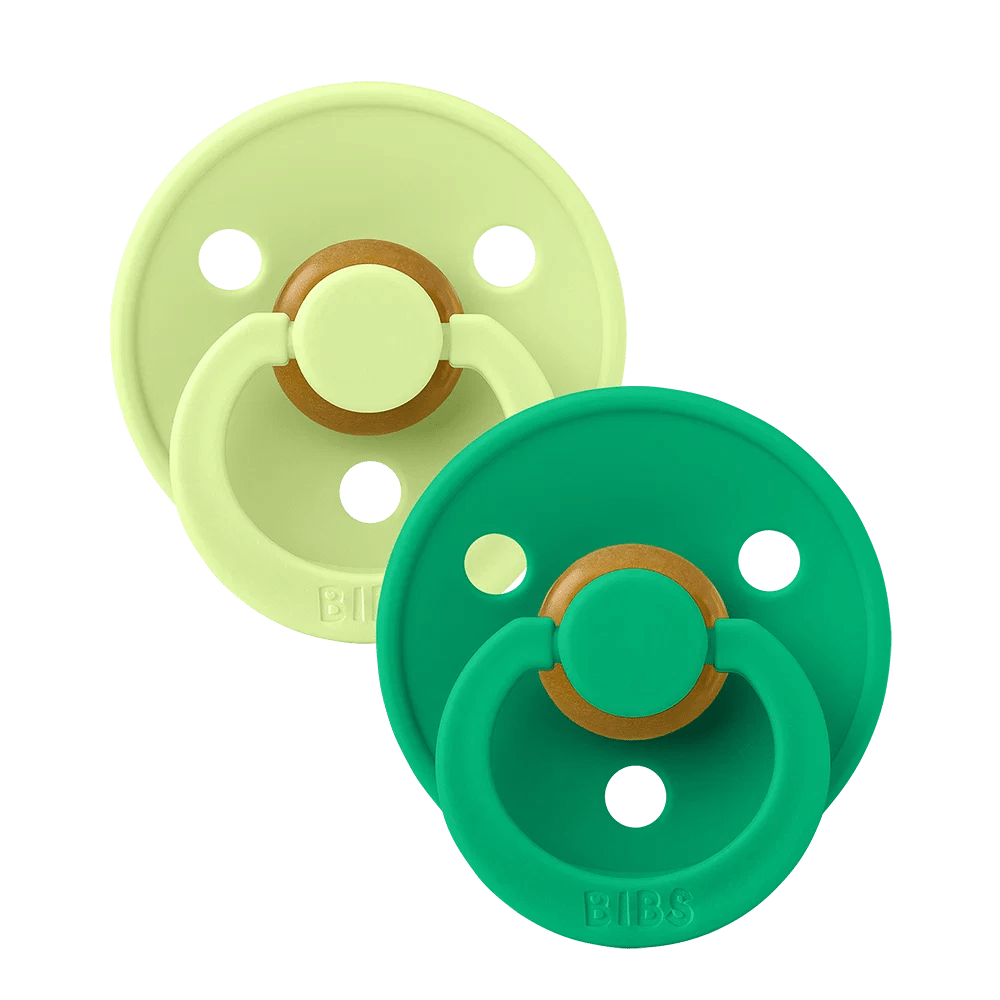 120473_5713795275519_BIBS_Colour_2pack_rnd_LTX_S2_Cactus_Matcha_1_1000x1000_339c53a8-273b-41d3-9838-f0669490af5d Bibs Πιπίλες Holiday Horse 2Pack - Matcha & Cactus No2 - Image 1