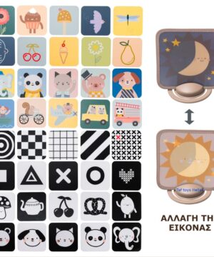 Taf Toys Εκπαιδευτικό Παιχνίδι My 1st Discoveries Flash Cards